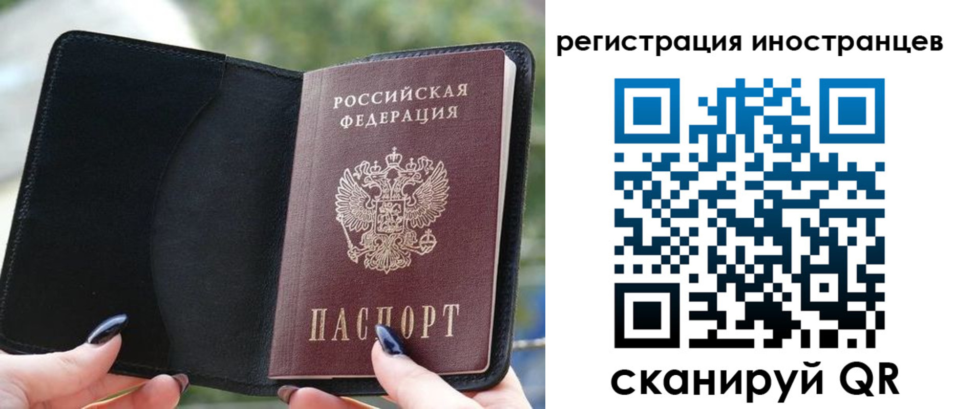 найти адрес прописки в Амурске
